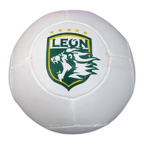 BALON #5 FUTBOL RUEDA