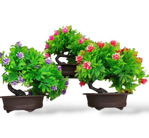 OM CZ-7031 MACETA BONSAI