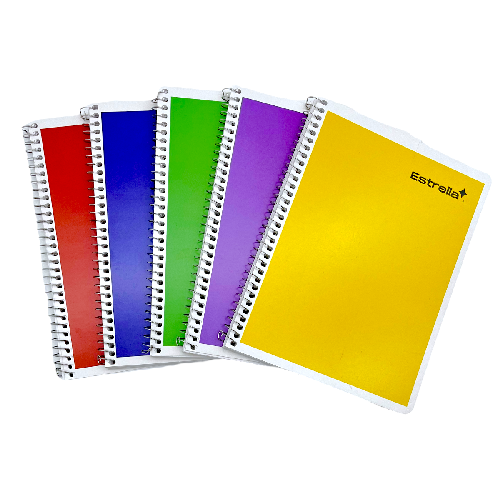 M ESTRELLA LIBRETA FRANCESA 100hjs RAYA