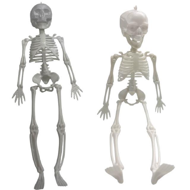 PP 26-26 ESQUELETO 29cm